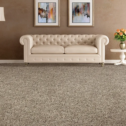 The Carpet Man providing stain-resistant pet proof carpet in Indianapolis, IN