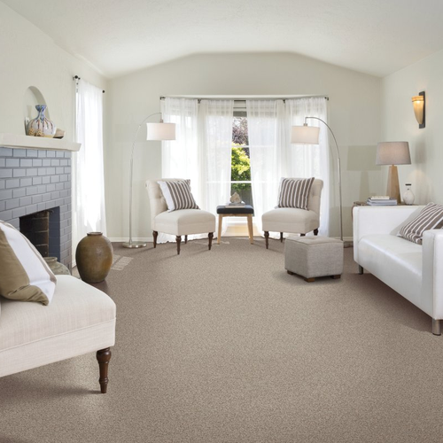 The Carpet Man providing stain-resistant pet proof carpet in Indianapolis, IN - Tonal Chic I- Corinthian